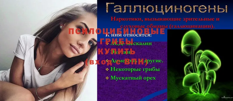 Псилоцибиновые грибы мицелий  Нягань 